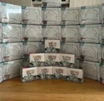 Pokémon Card Clearance Pallets – Trading Card Wholesale for Resellers in the USA and Europe - Image 8