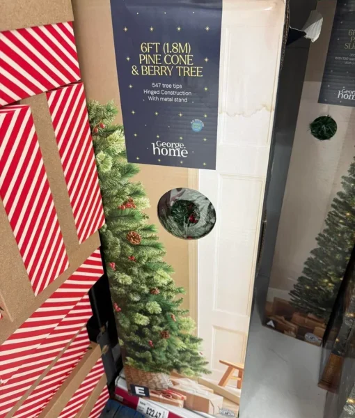 chrismas tree for sale